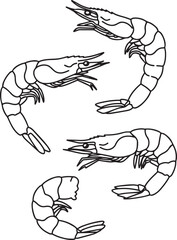 Four line drawings of shrimp seafood ocean food