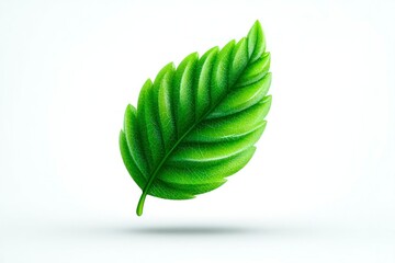 Vibrant Green Leaf Isolated on White Background Nature Illustration Botanical Design Element