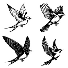 Fototapeta premium bird hunting fly mid-flight, black and white vector design 