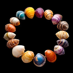 Vibrant Shell Anklet with a Striking Array of Nature Isolated on Transparent Background