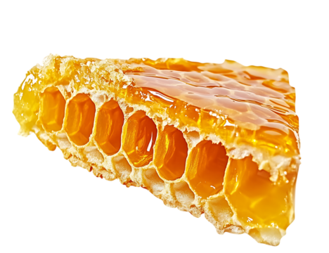 Delicious honeycomb piece closeup for healthy eating and natural sweetener food concept use on transparent background