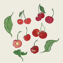 Vector fruit doodle illustration of juicy cherry and green leaves. Hand-drawn garden harvest sketch. Organic farm graphics. Tasty food for design, veggie market drawing print, fabric or background.