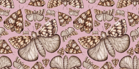 Grey-brown moth, with wings folded and spread, watercolor illustration. Insect Lepidoptera, isolated on pink. Pattern for textile, wallpaper, wrapping paper