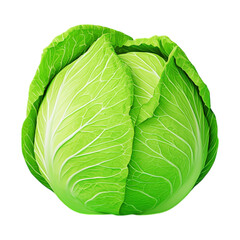 Fototapeta premium Isometric cabbage with soft lighting tiny