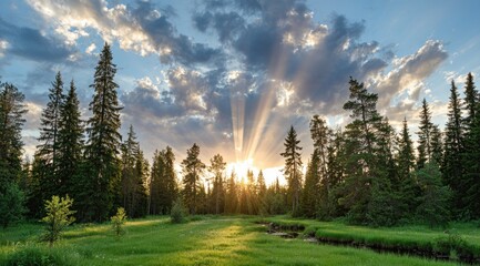 Sunset paints a vibrant sky over a tranquil forest