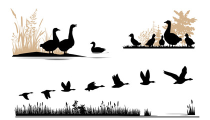 Nature landscape with birds silhouettes. Ducks and geese.  Vector illustration.	