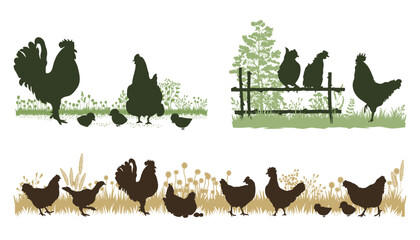 Nature landscape with birds silhouettes. Chickens in the poultry yard. Vector illustration.	
