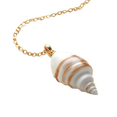 Elegant Shell Necklace with a Single Gracefully Curved Design Isolated on Transparent Background