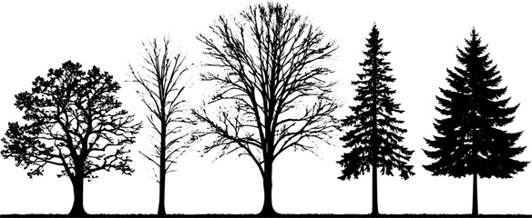 Realistic Tree Silhouettes Vector Set, Deciduous and Coniferous Trees for Landscape and Seasonal Design