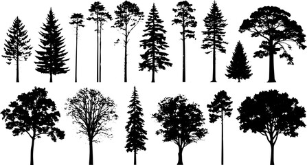 Fototapeta premium Realistic Tree Silhouette Collection, Deciduous and Coniferous Vector Trees for Landscape Design