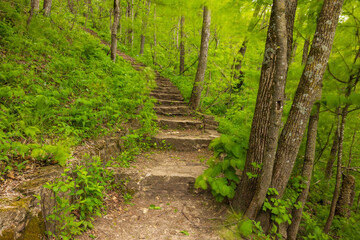 A Stone Step Trail Up A Hill In The Woods On A Breezy Day