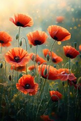 Fototapeta premium Vibrant red poppies gently swaying in a sunlit field with soft glowing light and a dreamy atmosphere