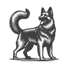 Obraz premium Vintage Hand-Drawn German Shepherd Illustration – Dog Standing Pose Engraved Style Vector for T-Shirts, Posters, Stickers, and Canine Themes Apparel