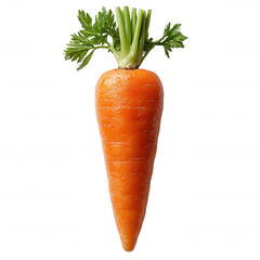 Single Fresh Carrot with Green Tops on Transparent Background