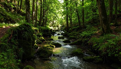 Obraz premium A stream in a forest