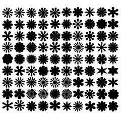 Daisy Flowers Vector Illustration