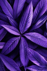 Fototapeta premium Rich purple foliage, vibrant saturated color, densely packed leaves with prominent veining, creating a lush, textured pattern