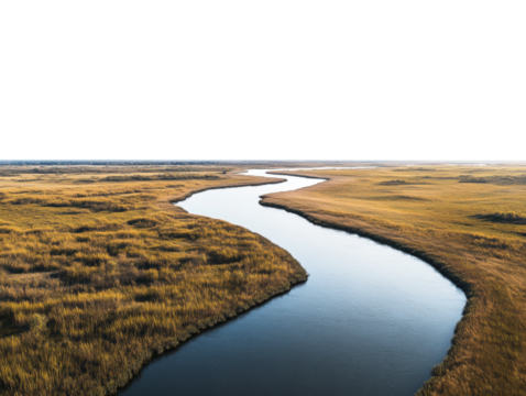Sparkling river delta among fields on white background