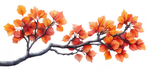 Autumn Branch with Orange Leaves on Transparent Background