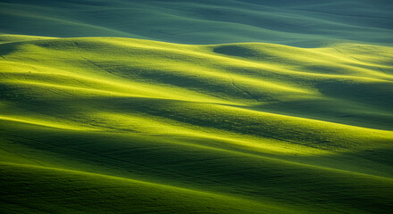 Rolling green hills with soft sunlight casting gentle shadows across the landscape