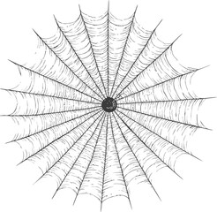 Obraz premium Intricate black and white spider web illustration on white background, line art. Vector illustration