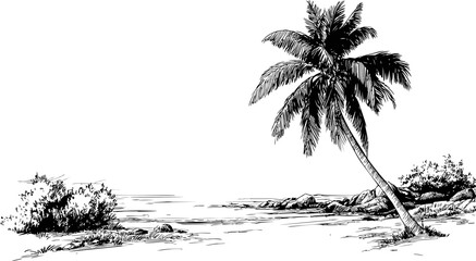 Black and white illustration of a tropical beach with palm trees. Vector illustration