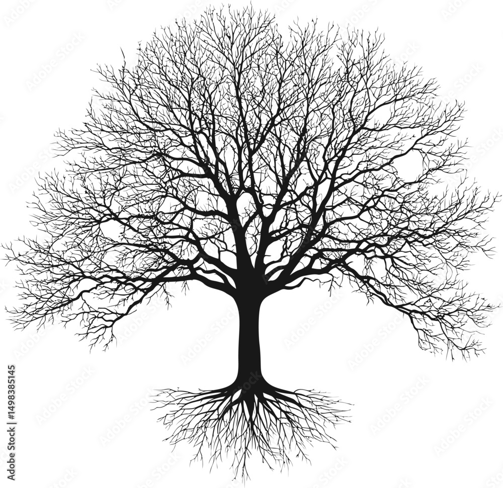 Poster silhouette of a leafless tree with roots on a white background. vector illustration