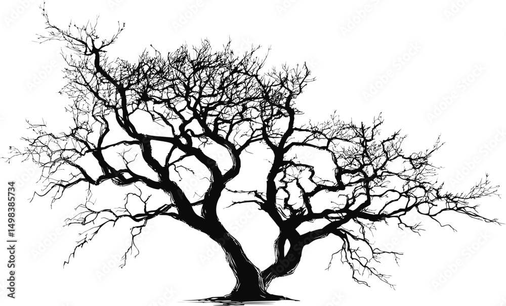 Aufkleber silhouette of a bare tree with intricate branches in black and white. vector illustration