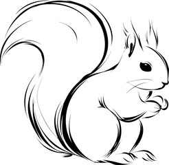 Stylized black and white outline of a squirrel holding a nut, line art drawing. Vector illustration