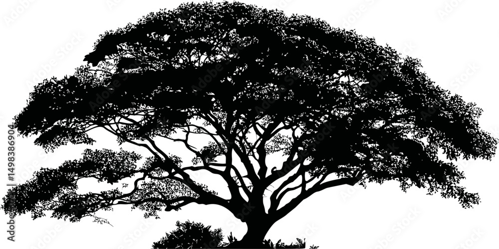 Aufkleber silhouette of a large acacia tree with spreading branches over a white background. vector illustrati