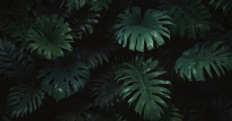 Bold, shadowy tropical leaves in black and deep green, abstract design ,  exotic,  illustration,  illustration pattern