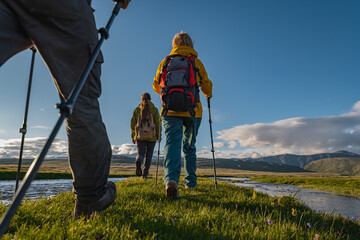 A group of tourists in bright clothes, with backpacks on their backs and trekking poles in their hands, walk in front of a green meadow, rivers flow nearby, all this against the background of mountain