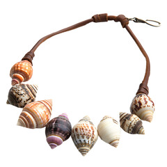 Trendy Rustic Shell Necklace with Assorted Natural Isolated on Transparent Background