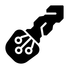 key Solid icon