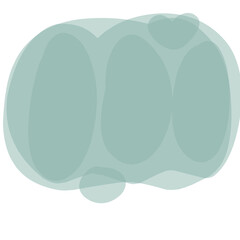 vector illustration of a green apple