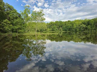 lake in the forest