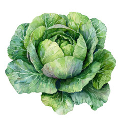Fototapeta premium a detailed, full frame image displays a round vegetable against a solid, black background