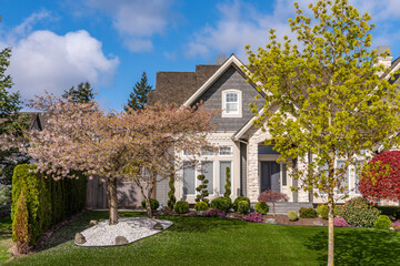 Two story stucco luxury house with nice spring blossom landscape in Vancouver, Canada, North America. Day time on May 2025.