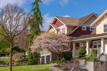 Two story stucco luxury house with nice spring blossom landscape in Vancouver, Canada, North America. Day time on May 2025.