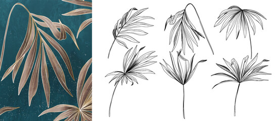 Background with a set of elements of sketches of tropical plant leaves in line style. Botanical elements of exotic leaves for decorating wallpapers, invitations, packaging, textiles, prints, collages