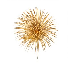 Fototapeta premium Isolated golden firework explosion on a white background in a studio shot
