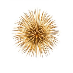 Obraz premium Isolated golden firework burst against a clean bright white background view
