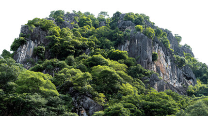 Lush green mountain cliff isolated on transparent background
