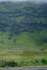 Obraz premium green mossy rocky mountain cliffs