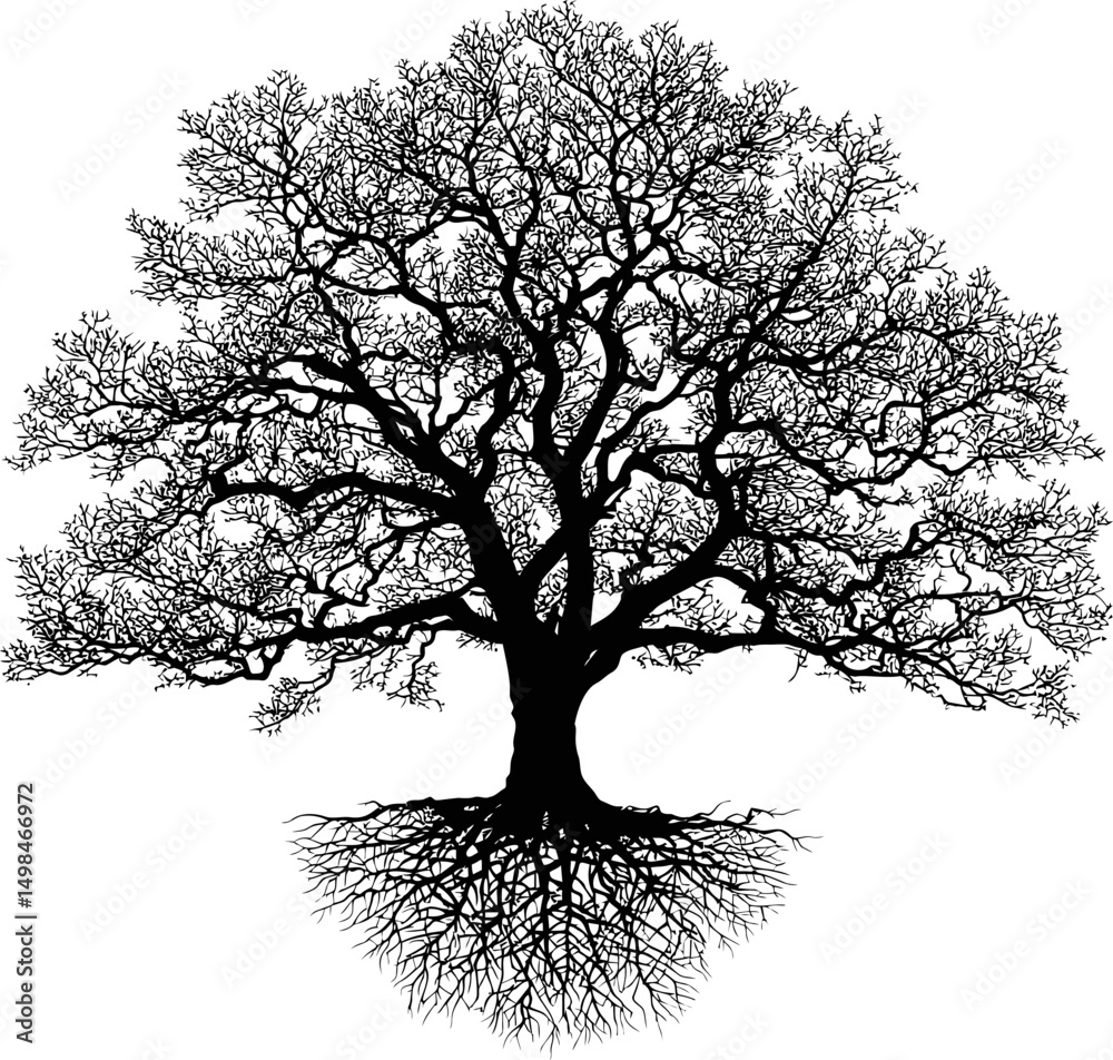 Poster silhouette of a tree with detailed branches and roots. vector illustration