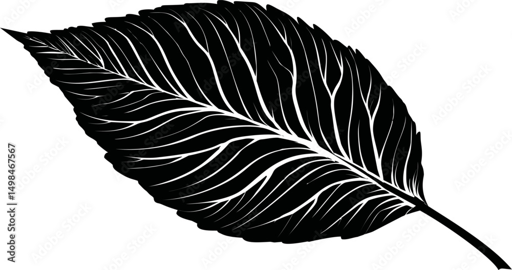 Aufkleber silhouette of a detailed leaf with intricate vein patterns in black and white. vector illustration