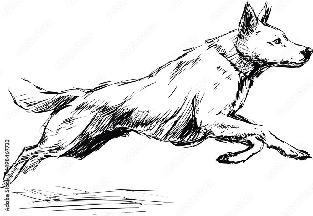Aufkleber black and white sketch of a dog mid-jump in dynamic motion illustration. vector illustration