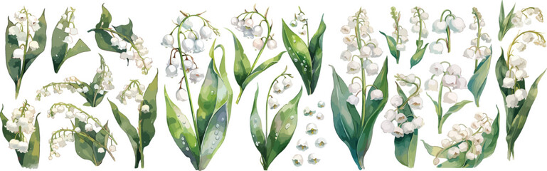 lily of valley watercolor clipart © dian's