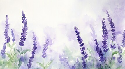 Obraz premium Blooming lavender flowers in loose watercolor style with visible wet texture, soft lilac and green tones, artistic floral background with plenty of blank space for text or design, creative projects