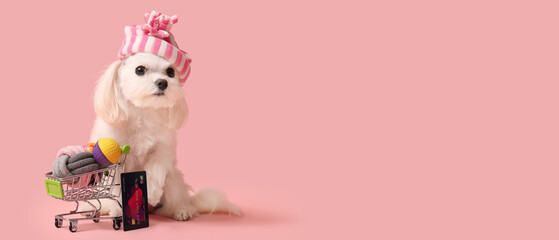 Cute Bolognese dog in hat and shopping cart with toys and credit card on pink background